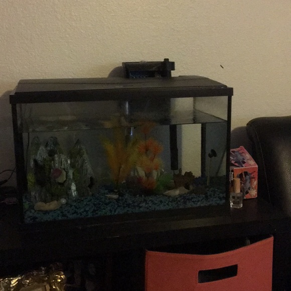 Meet your Posher, Pablo - Picture 1 of 1